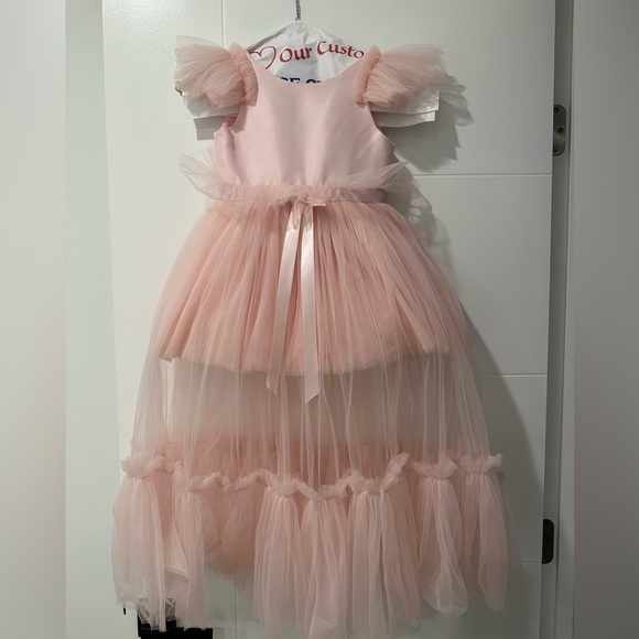 Itty Bitty Toes MATILDA DRESS (PINK) Size 5 - Picture 3 of 4